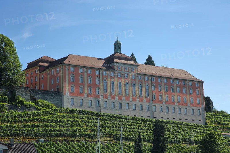 Droste-Hülshoff-Gymnasium with grapevines, Meersburg, Obersee, Lake Constance, Lake Constance area, Baden-Württemberg, Germany, Europe