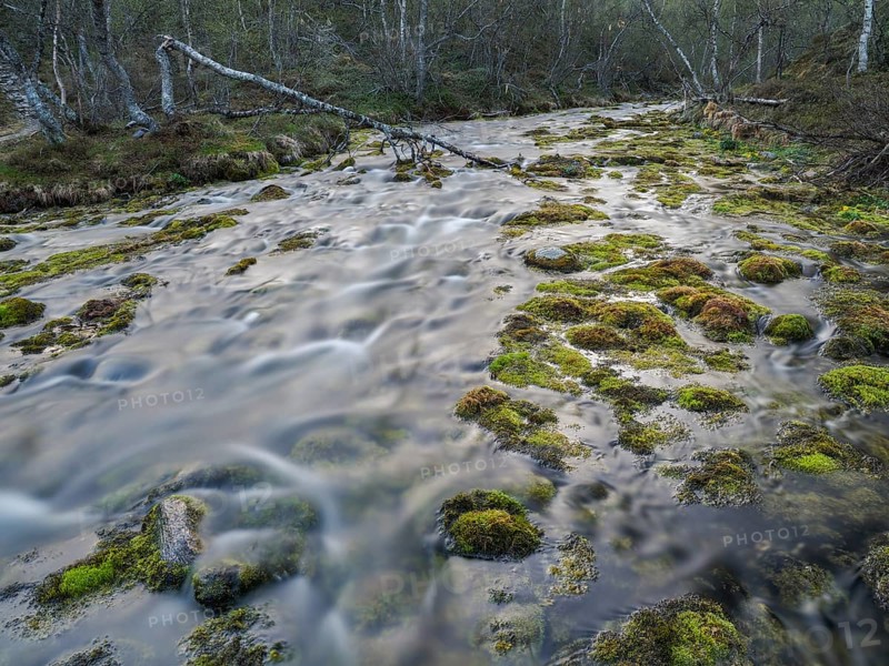 Hill stream, among Hairy Birch (Betula pubescens) woodland, captured at midnight, May, Finnish Lapland