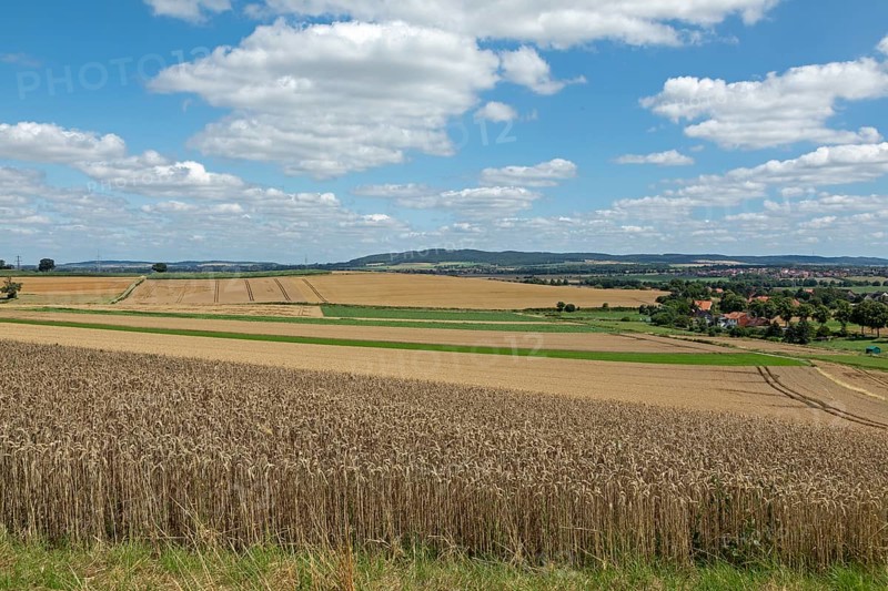 Fields, Landscape, Wittenburg, Elze, Lower Saxony, Germany, Europe