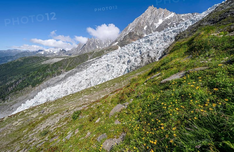 Mountain landscape with glacier Glacier des Bossons and summit of the Aiguille du Midi, Chamonix, Haute-Savoie, France, Europe
