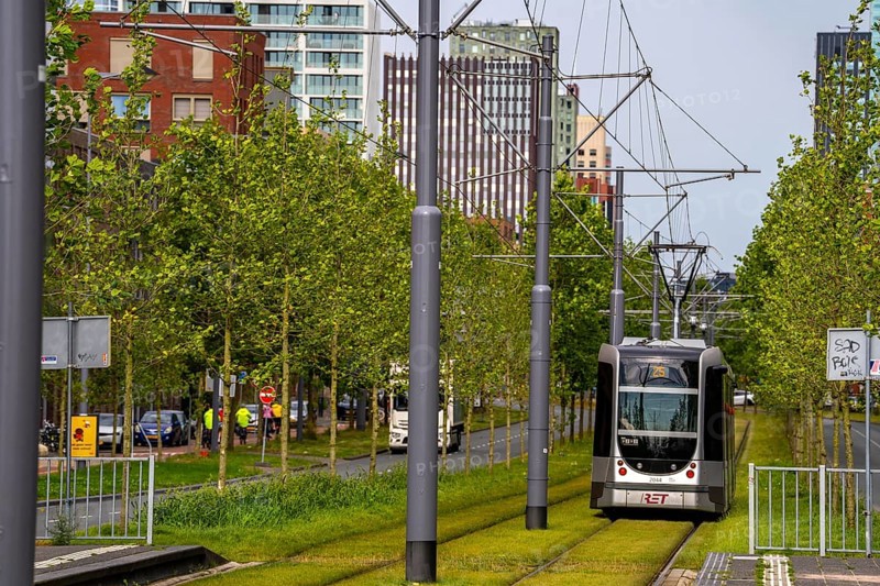 Urban greening, inner-city street Laan op Zuid, in Rotterdam's Feijenoord district, 4 lanes, 2 tram tracks, cycle paths on both sides, pavements and parking lanes, planted with hundreds of plane trees over around 1.5 km, providing shade, cooling in summer, tram tracks with grass surface, less surface sealing, urban climate, microclimate in the city, Rotterdam, Netherlands