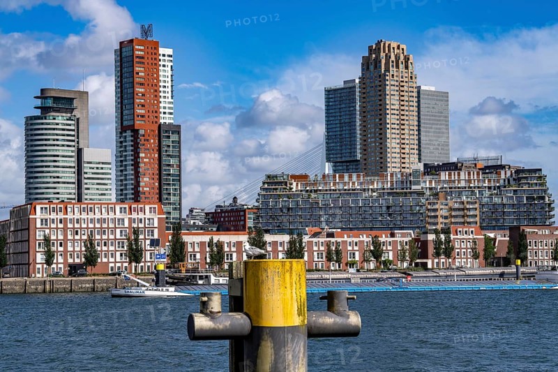 Harbour basin of the Maashaven, inland waterway port, jetties, residential buildings in the Kop van Zuid and Katendrecht district, almost all buildings have been built or rebuilt in recent years, popular residential area, structural change, Rotterdam, Netherlands
