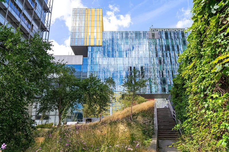 Green spaces around buildings, here at Hogeschool Inholland Rotterdam, plant beds at passageways, green walls and roofs, Rotterdam, Netherlands