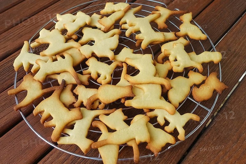 Swabian cuisine, Swabian Christmas biscuits, Ausstecherle, shortbread biscuits, cat figurines, typical Swabian, baking, Christmas biscuits, sweet biscuits, Gutsle, Bredle, baked goods, from the oven, cooling rack, cake rack, traditional cuisine, food photography, studio, Germany, Europe
