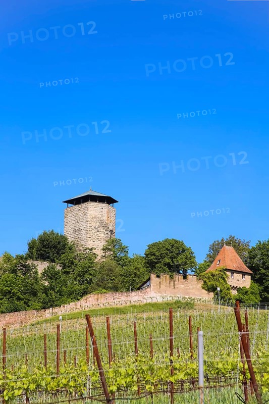 Hohenbeilstein Castle, hilltop castle, vineyards, Beilstein, Heilbronn district, Baden-Württemberg, Germany, Europe