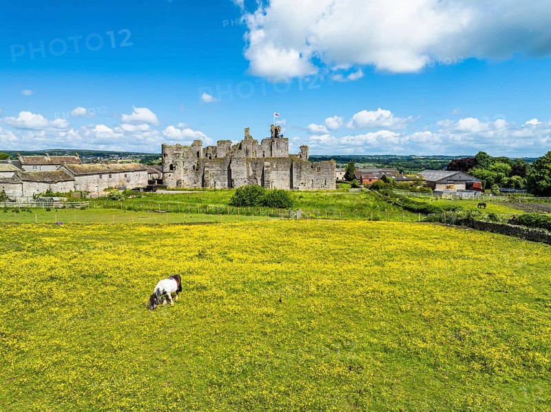 Middleham Castle from a drone, Middleham, Wensleydale, North Yorkshire, England, United Kingdom, Europe