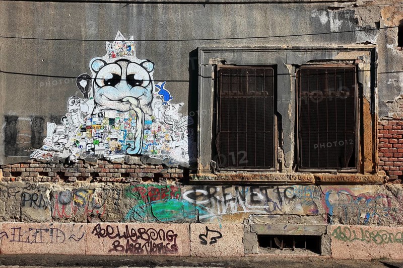 Graffiti on houses, Timisoara, Timisoara, Banat, Romania, Europe