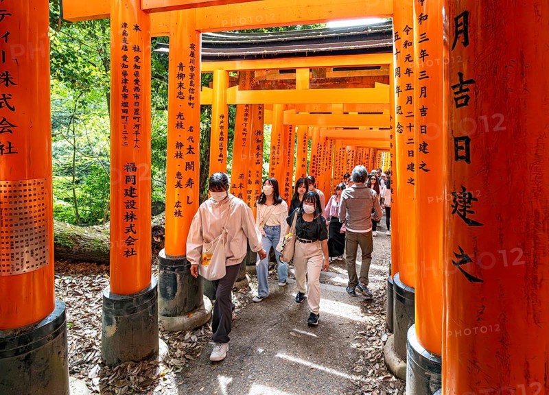 Fushimi Inari-Taisha shrine, Kyoto, Japan, Asia