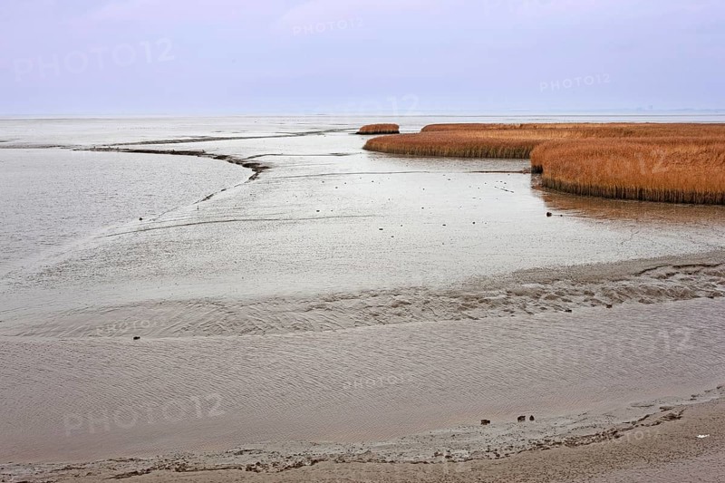 Low tide, mudflats, Dollart, Nieuwe Statenzijl, Netherlands