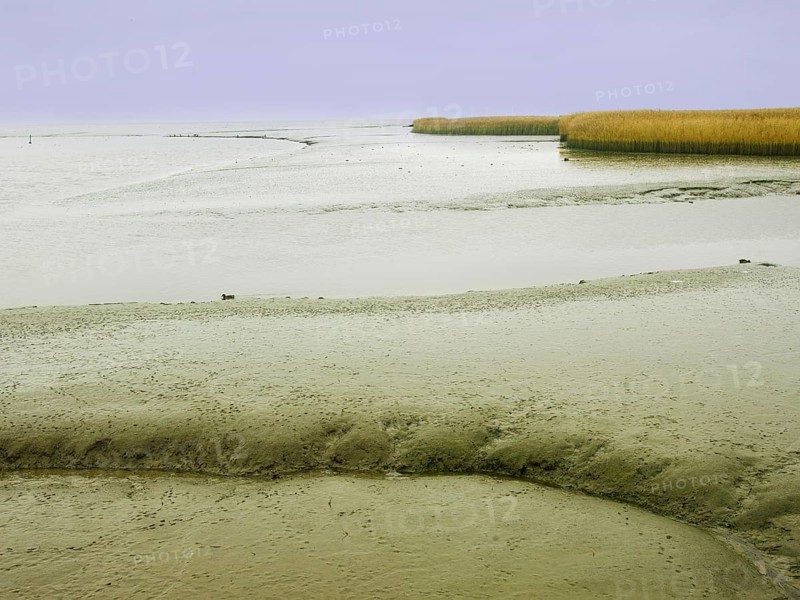 Low tide, mudflats, Dollart, Nieuwe Statenzijl, Netherlands