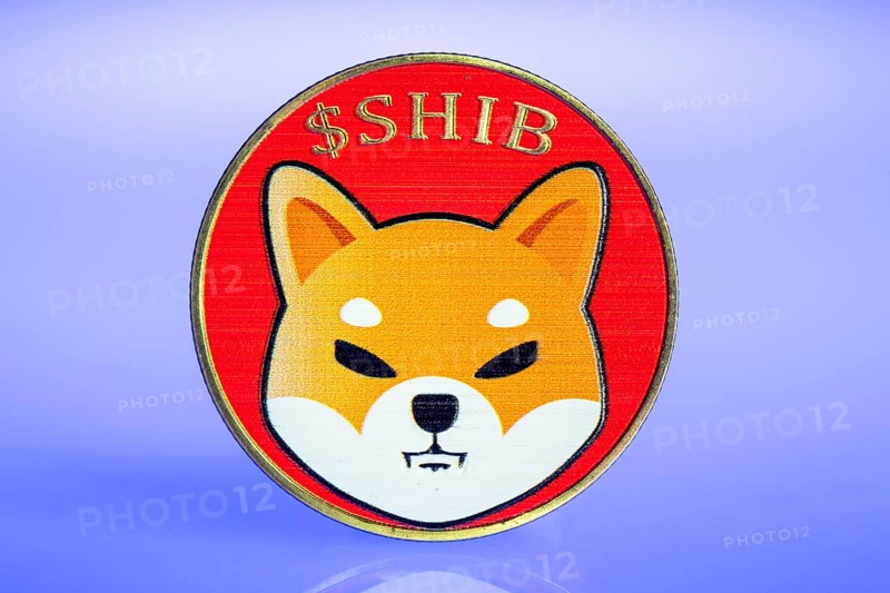 Shiba Inu, SHIBA, cryptocurrency, symbol coin, optical placeholder for the digital currency, blockchain, stock market prices
