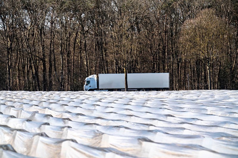Agriculture on the Lower Rhine, early season, asparagus cultivation in spring, under plastic sheeting, foil tunnel, asparagus field, landscape under plastic sheeting, Walbeck, town of Geldern, North Rhine-Westphalia, Germany, Europe