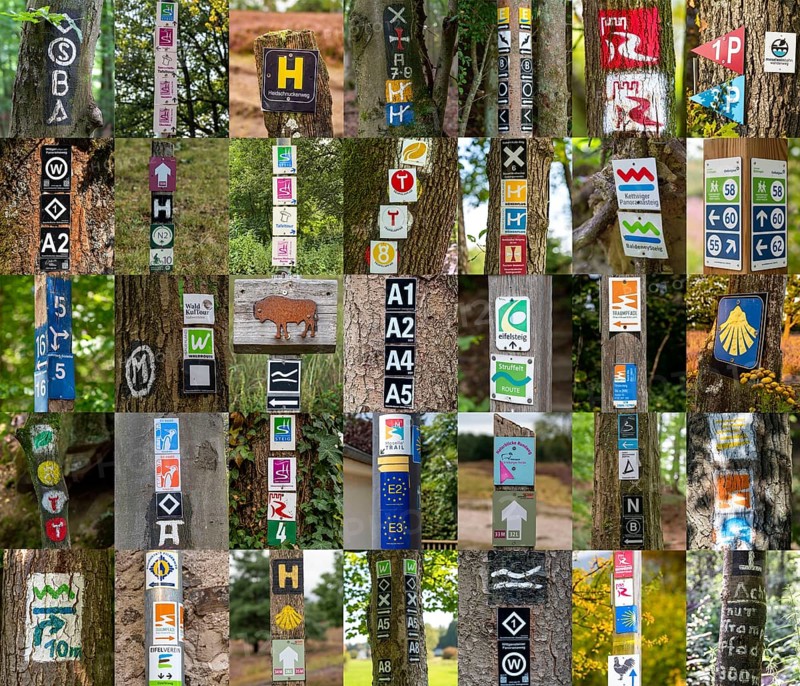 Collection of hiking signs, hiking trails, signposting of hiking tours, tour symbols mostly on trees, signposts, Germany, Europe