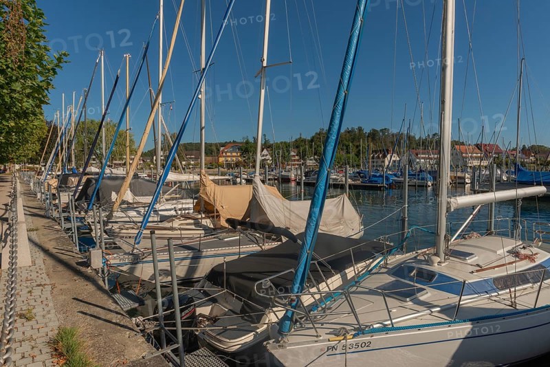 Unteruhldingen, Lake Constance, marina, Baden-Württemberg, Germany, Europe