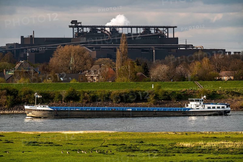 Cargo ship on the Rhine near Duisburg-Beeckerwerth, industrial backdrop of the ThyssenKrupp Steel steelworks in Bruckhausen, Oxygen steelworks, North Rhine-Westphalia, Germany, Europe