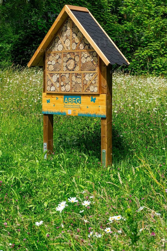 Insect hotel, wildflower meadow at the park cemetery in Essen, the city's largest cemetery, North Rhine-Westphalia, Germany, Europe
