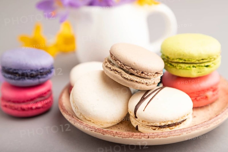 Multicolored macaroons with spring snowdrop crocus flowers on gray pastel background. side view, close up, still life, selective focus. Breakfast, morning, spring concept