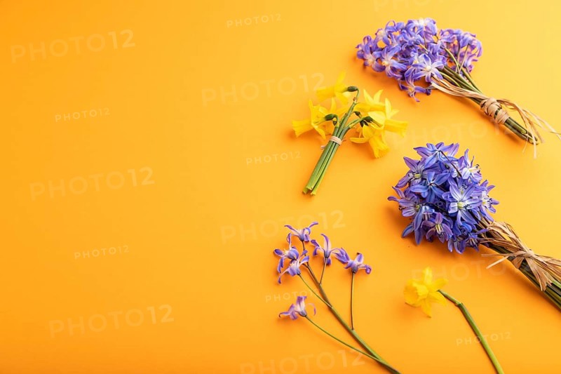 Spring snowdrop flowers bluebells, narcissus on orange pastel background. side view, copy space, still life. Beauty, spring concept