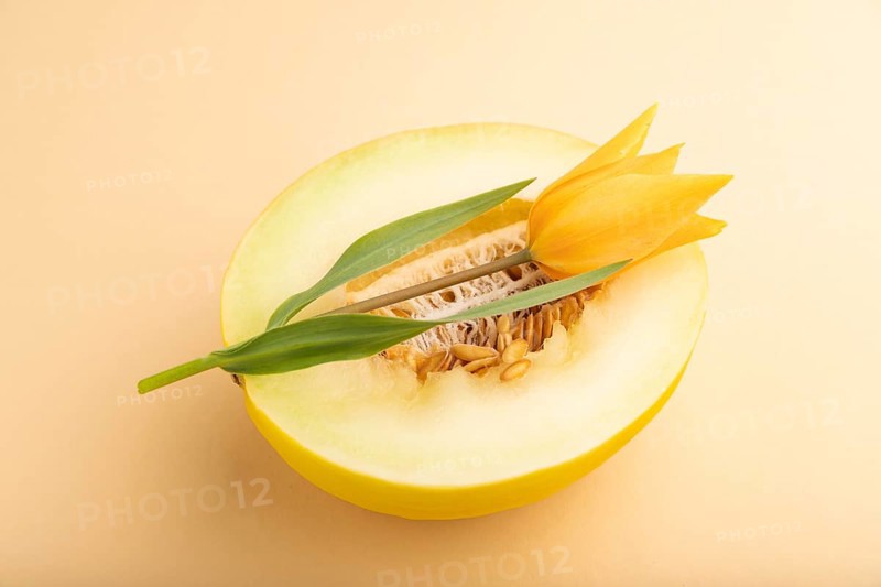 Sliced ripe yellow melon and tulip flower on orange pastel background. Side view, close up. harvest, women health, vegan food, concept, minimalism