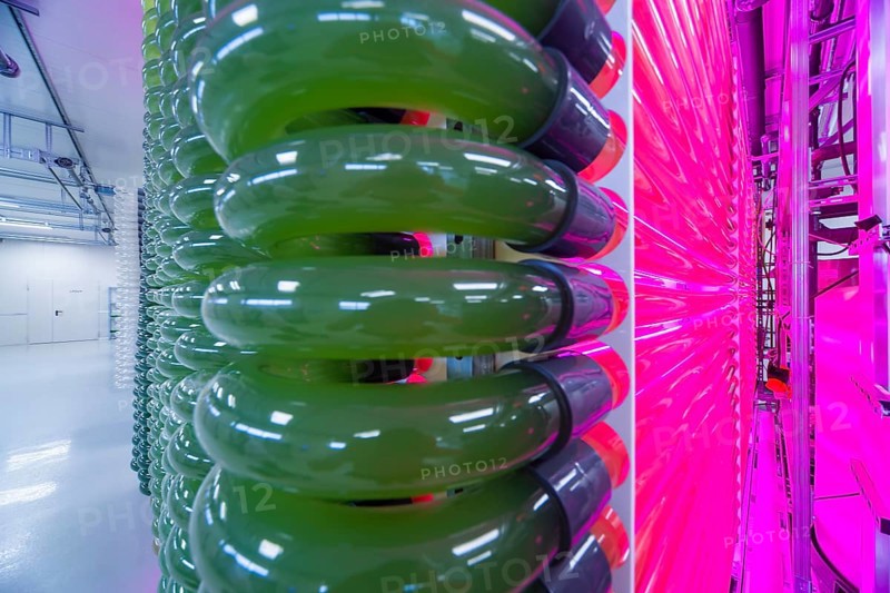 PUEVIT GmbH produces the most efficient photobioreactors for the cultivation of microalgae. The aim is to revolutionise the supply of raw materials through microalgae production. Innovative technological solutions have been developed for the growth and harvesting of spirulina, chlorella and other microalgae, for example, which enable unique efficiency, unprecedented simplicity and maximum stability in what is probably the most compact tube system on the market. Raw, unprocessed spirulina is produced as a fresh, regional food under the ALGENWERK brand. The algae grow in our own facilities and are harvested and freshly packaged directly without any further processing. Spirolina production, start-up of full production at the Puevit algae plant, Dresden, Saxony, Germany, Europe
