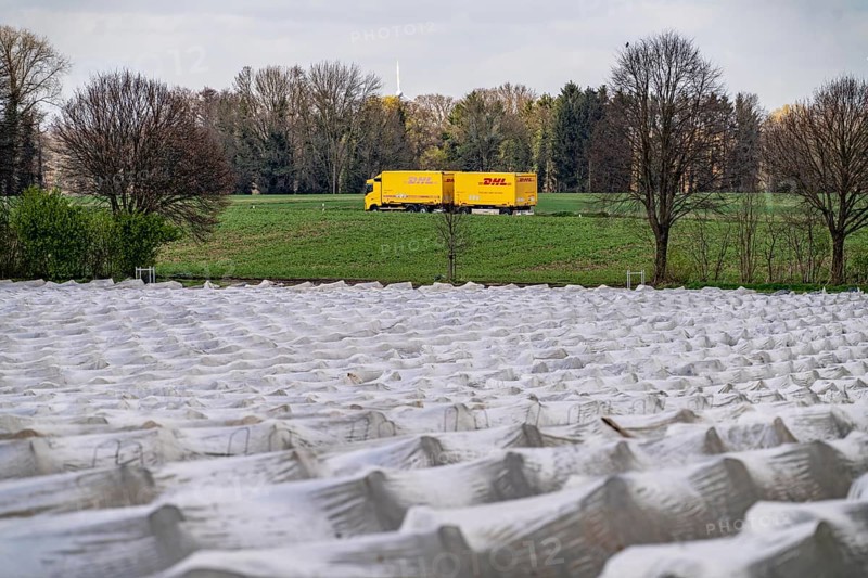 Asparagus fields, asparagus stems under foil, for faster growth, near Kirchhellen, district of Bottrop, North Rhine-Westphalia, Germany, Europe