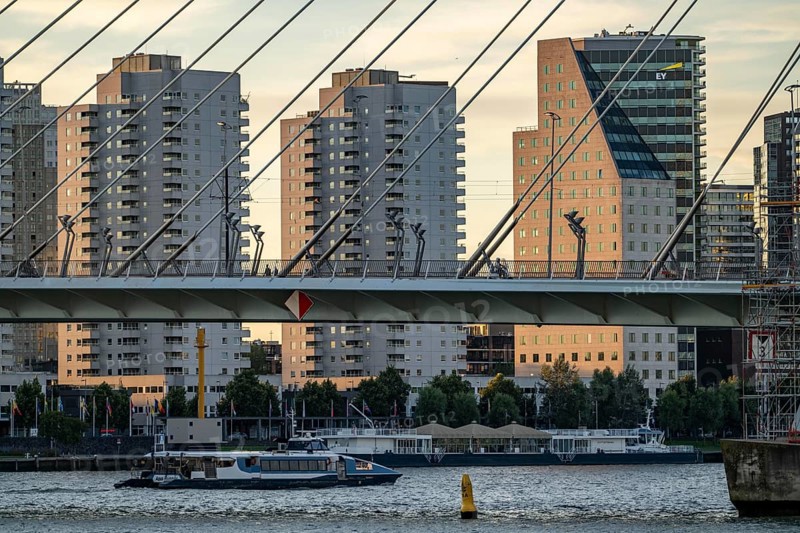 The Erasmus Bridge, over the Nieuwe Maas, building on the Boompjeskade, Waterbus, Rotterdam, Netherlands