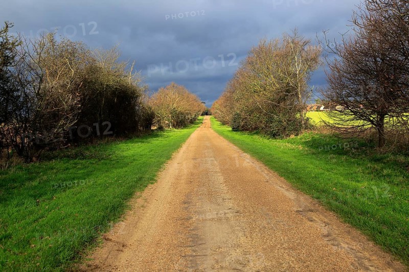 Long straight unsurfaced country road in winter sunshine, Sutton, Suffolk, England, UK