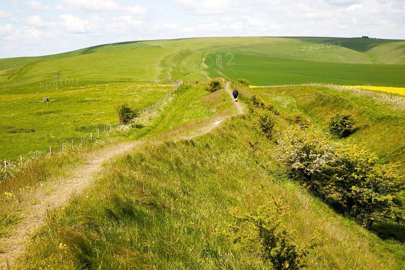 Two men walking along the ditch and embankment of the Wansdyke a Saxon defensive structure on All Cannings chalk downs near Tan Hill, Wiltshire, England, United Kingdom, Europe