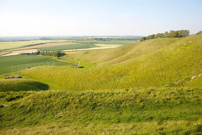 Summer view of arable fields and chalk landscape from Cherhill Down escarpment, Wiltshire, England, UK