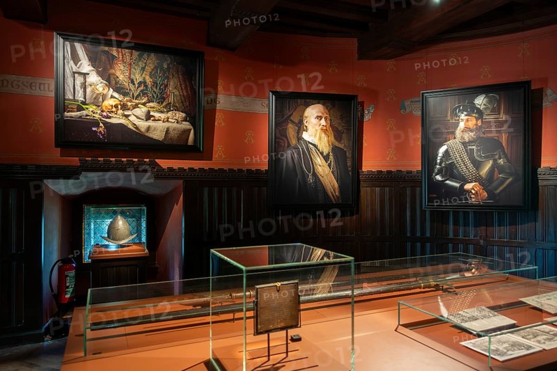Interior of the Count of Egmond room in the Kasteel van Gaasbeek, medieval castle but renovated in the 19th century, Lennik, Flemish Brabant, Belgium, Europe