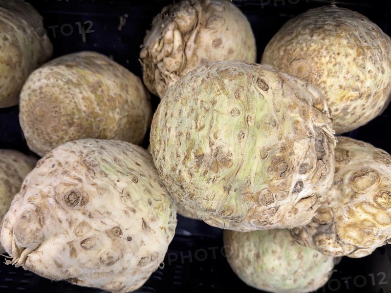 Large tubers of real Celery (Apium graveolens) knob celery, Zeller, root celery raw in display of greengrocer greengrocer grocer grocer grocer grocer supermarket, Germany, Europe