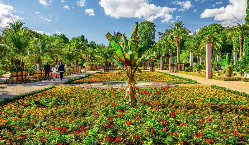 Palm garden in the spa gardens, the largest outdoor palm garden north of the Alps, spa town of Bad Pyrmont, Lower Saxony state spa, Emmer, Emmertal, Weserbergland, Lower Saxony, Germany, Europe