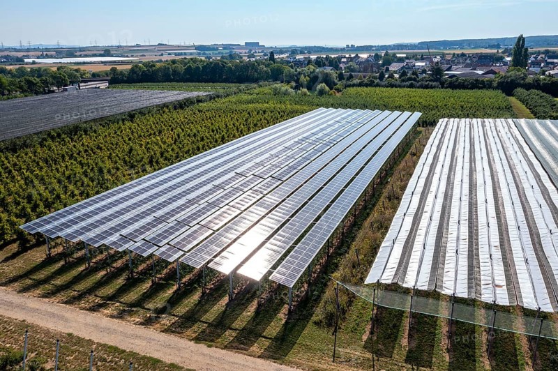 Agri-photovoltaic test plant, an apple orchard with two different systems of PV modules was roofed over 3000 square metres, rain and sunlight comes through, at the same time protection against hail and heavy rain, next to it are the same trees but without a solar roof, as a comparison object, how the PV roof affects the trees and harvest, the field test is accompanied by the Fraunhofer Institute for Solar Energy Systems ISE, in Grafschaft-Gelsdorf, Rhineland-Palatinate, Germany, Europe
