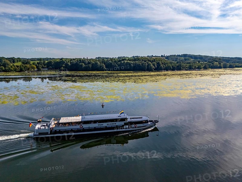 Green carpet of plants on Lake Baldeney in Essen, proliferating aquatic plant Elodea, waterweed, an invasive species, the fast-growing aquatic plant proliferates on large parts of the Ruhr reservoir, increased water temperatures accelerate growth, leisure boat traffic is severely impaired, White Fleet passenger ship, the navigation channel is kept clear, Essen, North Rhine-Westphalia, Germany, Europe