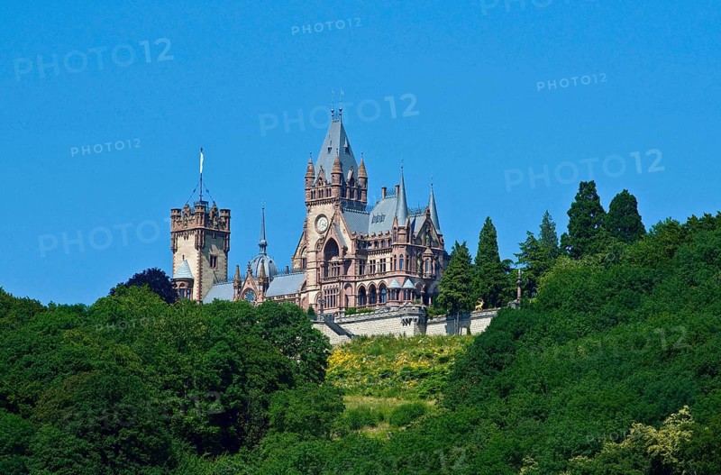 Europe, Germany, North Rhine-Westphalia, Königswinter am Drachenfels in the Siebengebirge nature park Park, Drachenfels Castle, Königswinter, North Rhine-Westphalia, Germany, Europe