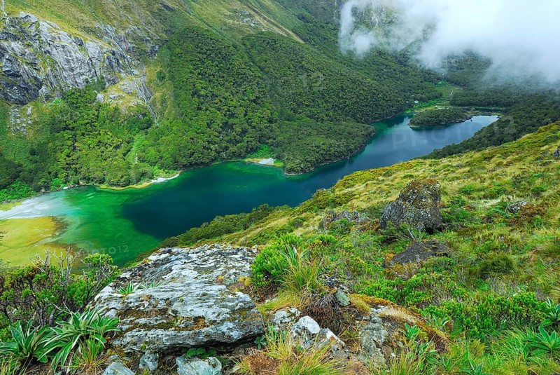 Lake Mackenzie, Routeburn Track, Humboldt Mountains, Mount Aspiring National Park, South West New Zealand World Heritage Site, Otago, South Island New Zealand, Otago, New Zealand, Oceania