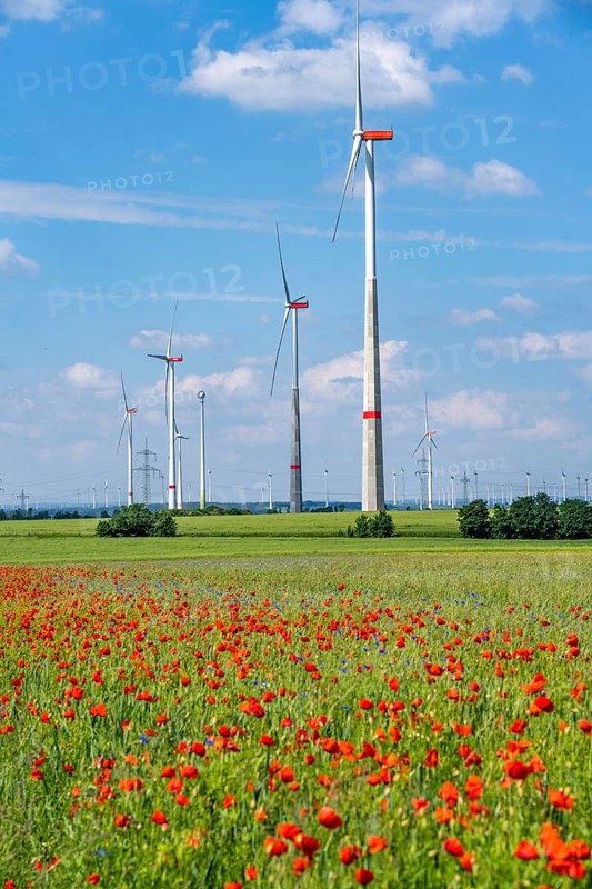 Wind farm, field with flower strips, insect-friendly border of fields with mixed flowers, poppies, north of Marsberg, Hochsauerlandkreis, North Rhine-Westphalia, Germany, Europe