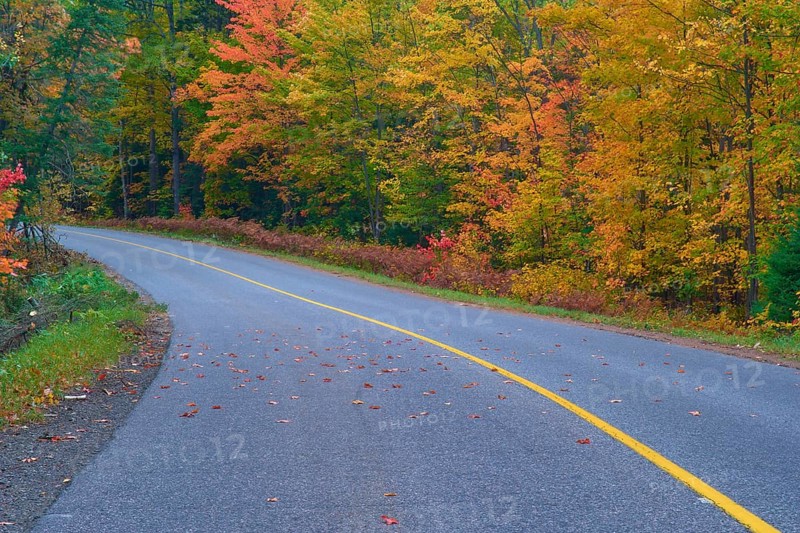 Road winds through an autumn forest with colourful foliage and a yellow centre line, Autumn, Ontario, Canada, North America