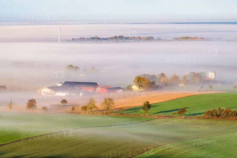 Farm in a rural landscape view with morning mist on the fields in late summer, Sweden, Europe