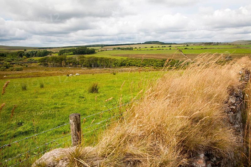 Moorland farming scenery near Princetown, Dartmoor national park, Devon, England, UK