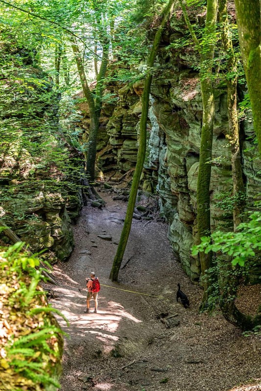 The Devil's Gorge, narrow, accessible gorge of sandstone rocks, with steep rocky gorges, near Irrel, Southern Eifel nature park Park, Rhineland-Palatinate, Germany, Europe