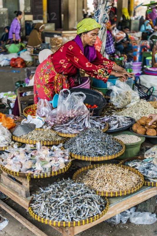 Traditional authentic food market, seller, woman, fish, fish seller, fresh, food, nutrition, sale, trade, bazaar, authentic, disease vector, food law, food control, stall, Asian, vegetable market, local, hygiene, virus, tradition, traditional, health, market place, market hall, tropical, travel, tourism, culture, poverty, presentation, cleanliness, person, Muslim, Islam, Lombok, Indonesia, Asia