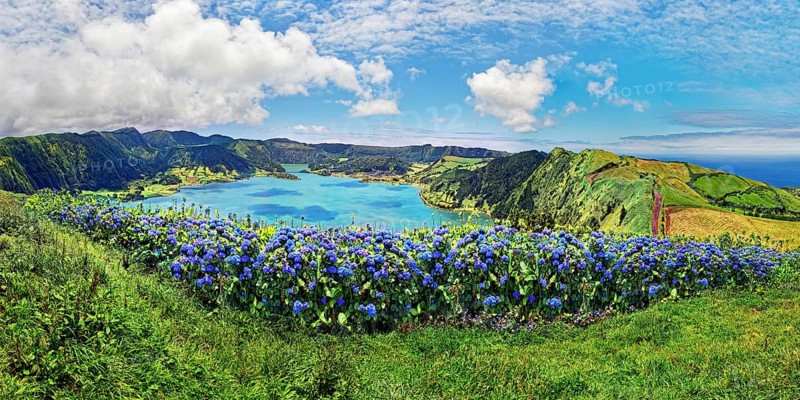 Panoramic view of the crater lake Lagoa Azul with the green overgrown crater rim surrounded by blue hydrangeas, Lagoa Azul, circular hiking trail, Caldeira das Sete Cidades, Sete Cidades, Sao Miguel Island, Azores, Portugal, Europe