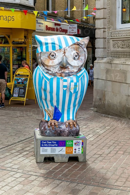Big Hoot 2022, art trail event large painted owl sculpture in town centre, Ipswich, Suffolk, England, UK
