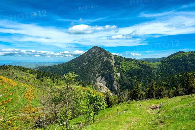 Scenic View of Dome-Shaped Volcanic Peaks (Sucs) in the Monts d'Ardeche Regional Natural Park. Auvergne-Rhone-Alpes. France