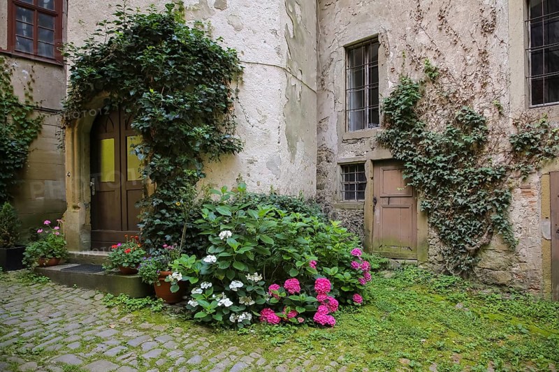 Hochberg Castle, formerly Hochberg Castle, Hohenberg Castle, former seat of the Hochberg lordship, inner courtyard, historic building, architecture, hydrangeas, climbing plants, doors, Hochberg district, Remseck am Neckar, Ludwigsburg district, Baden-Württemberg, Germany, Europe