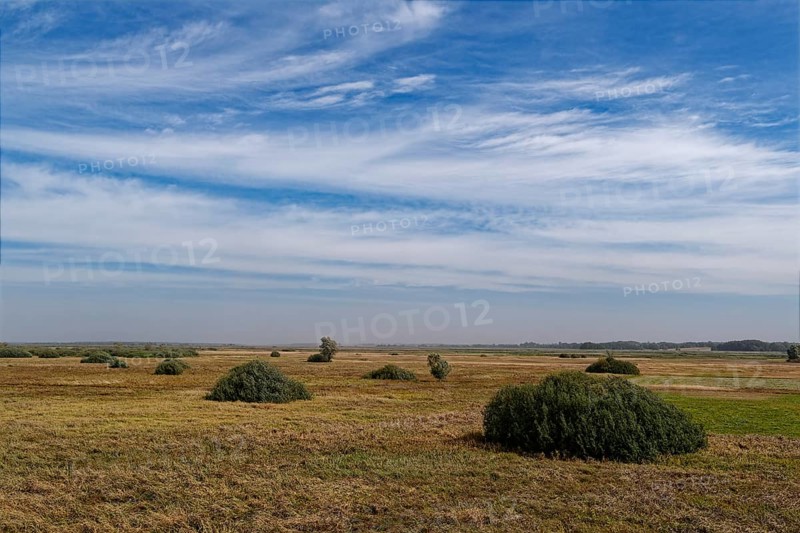 The Biebrza Valley in the Biebrza National Park in northern Poland. Goniadz, Podlasie, Poland, Europe