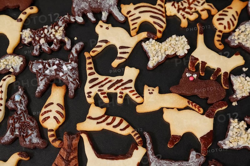 Swabian cuisine, Swabian Christmas biscuits, cookie cutters, shortbread biscuits, cat figures, painted with chocolate, typical Swabian, baking, Christmas bakery, sweet biscuits, Gutsle, Bredle, baked goods, from the oven, traditional cuisine, food photography, studio, Germany, Europe