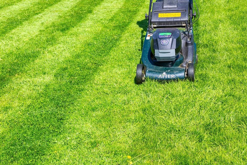 Hayter cordless electric lawnmower cutting lawn grass into stripes, UK