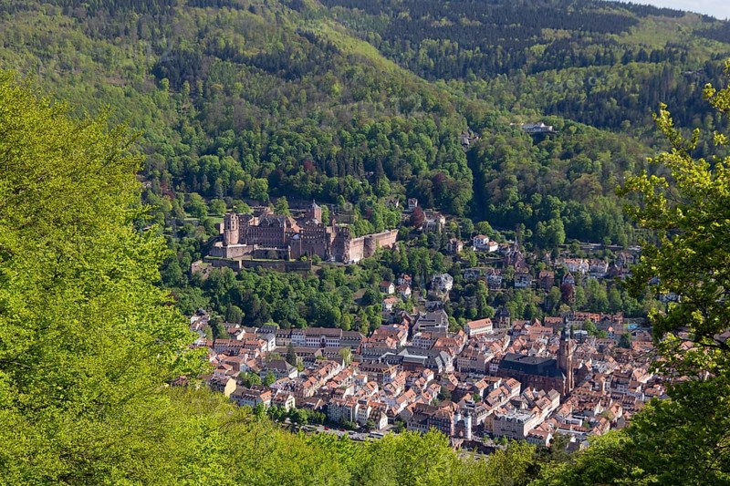 Blick auf das Heidelberger Schloss vom Heiligenberg auf der gegenüberliegenden Seite des Neckars
